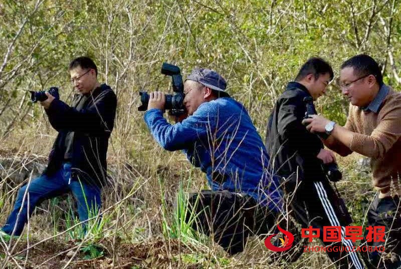 1733309172829409.jpg 微信图片_20241204183442_副本.jpg