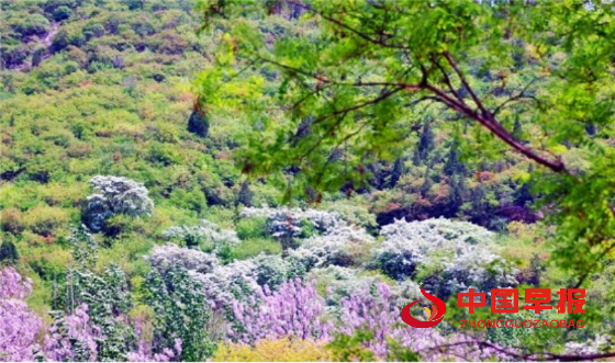 1734009948199929.png 640_副本.png