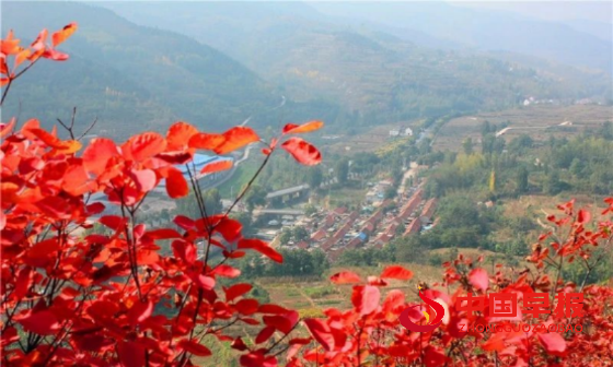 1734010032716716.png 640 (2)_副本.png