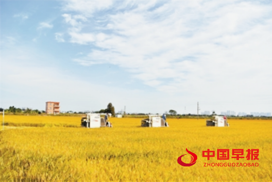 1734088129757034.png 1_副本.png