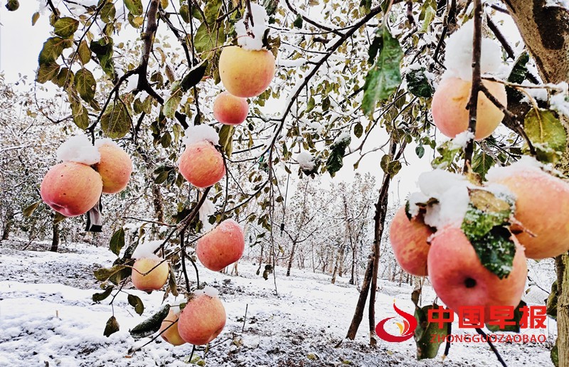 1734144624600953.jpg 微信图片_20241214104147_副本.jpg