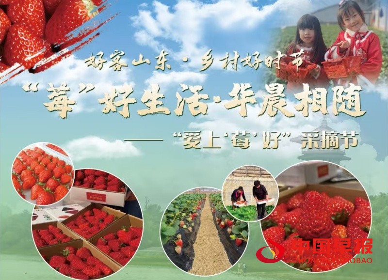 1734410031871440.jpg 微信图片_20241217120233_副本.jpg