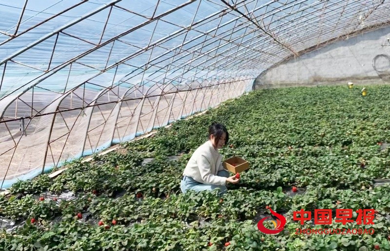 1734410170817026.jpg 微信图片_20241217120252_副本.jpg