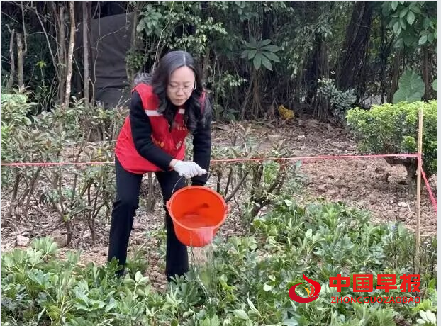 1734503818768060.png 2.png