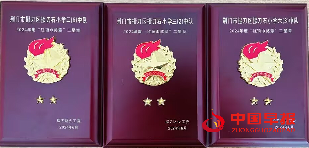 1734925268852044.png 4中队二星章.png