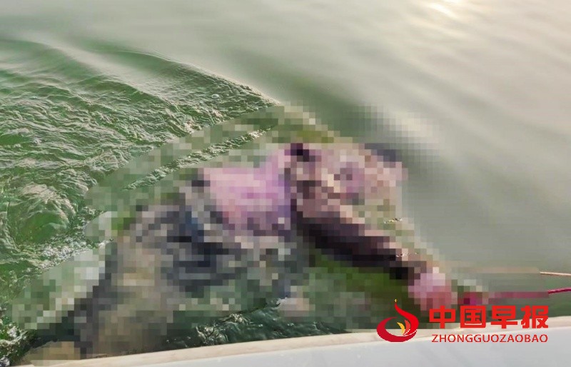 1735738464907647.jpg 4_副本.jpg