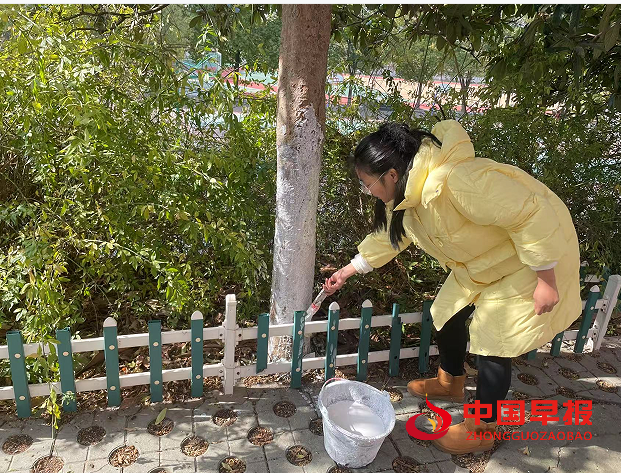 1736154238808053.png 11.png