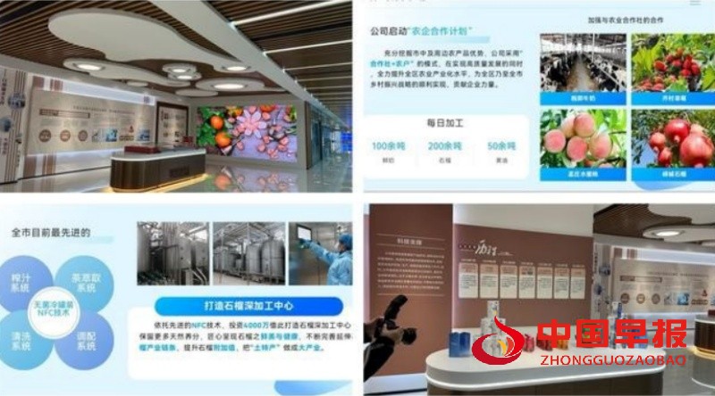 1736311210139748.jpg 5_副本.jpg