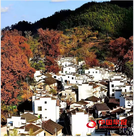 1737172974739551.png 6.png