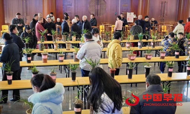 1738732031200730.jpg 5_副本.jpg