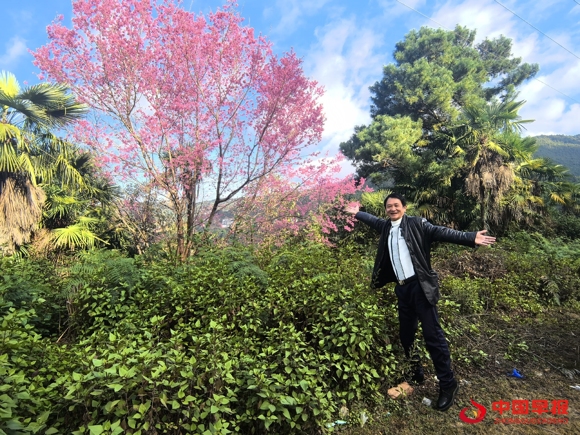 1739631261167385.jpg 1739631261167385.jpg