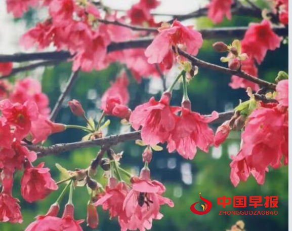 1739683190345158.png 5.png