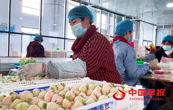 1740038707133442.png 微信图片_20250220155219_副本.png