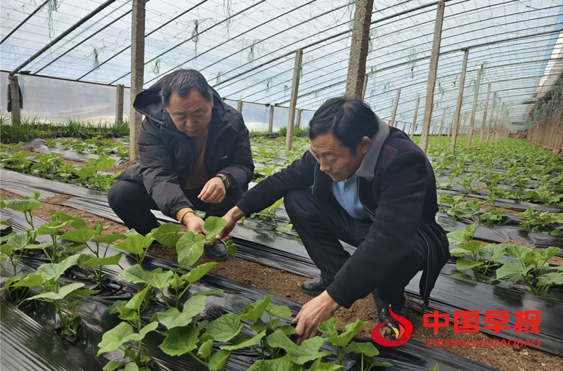 1740038730511447.jpg 微信图片_20250220155226_副本.jpg