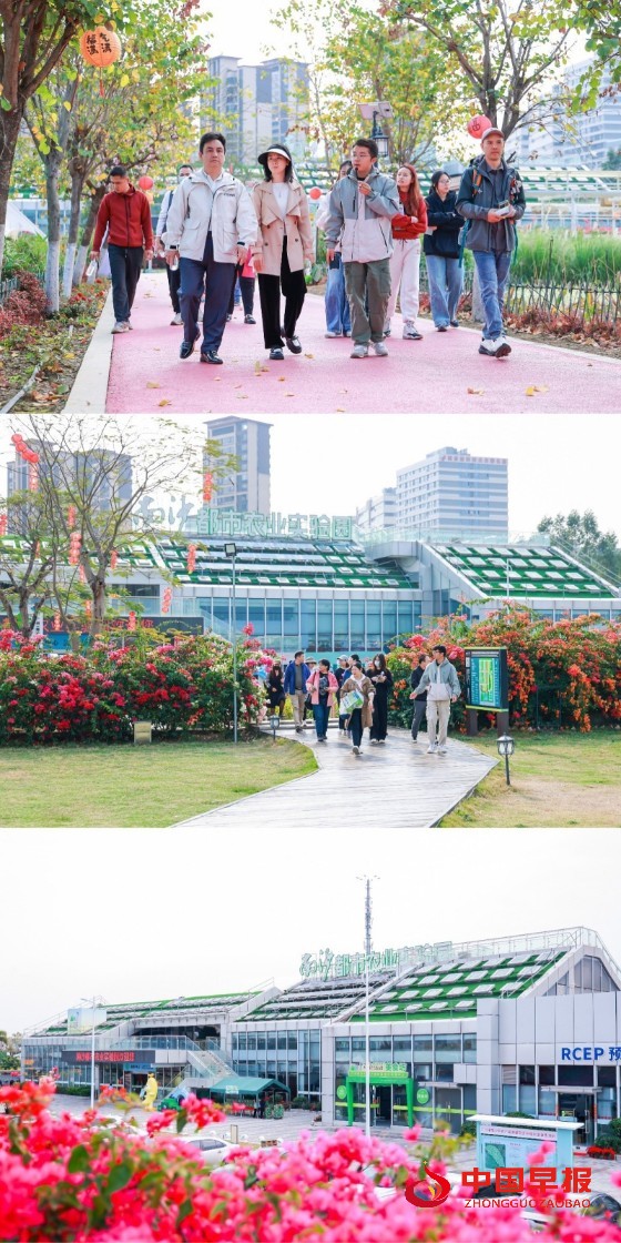 1740150202169889.jpg 2_副本.jpg