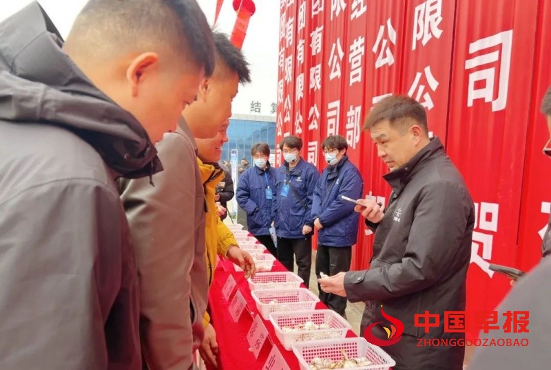 1740405564800143.jpg 640 (3)_副本.jpg