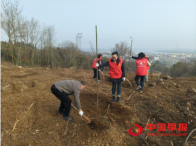 1741310915402817.png 33.png