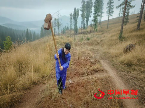 1741832320169433.png 1111.png