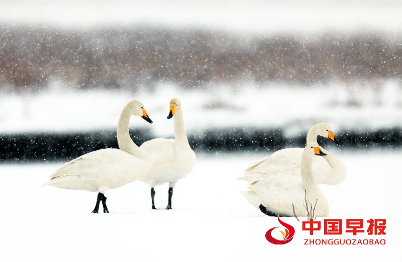 1742030523202123.jpg 微信图片_20250315170949_副本.jpg