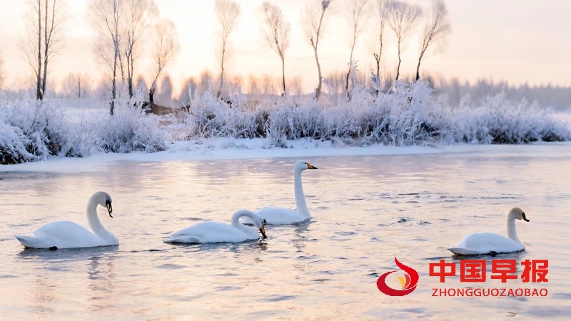 1742030535393625.jpg 微信图片_20250315170954_副本.jpg