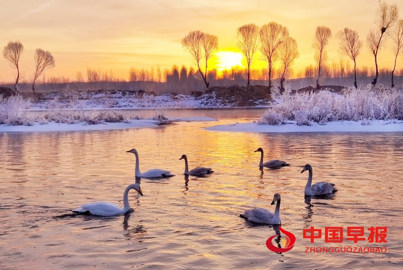 1742030546600977.jpg 微信图片_20250315170959_副本.jpg