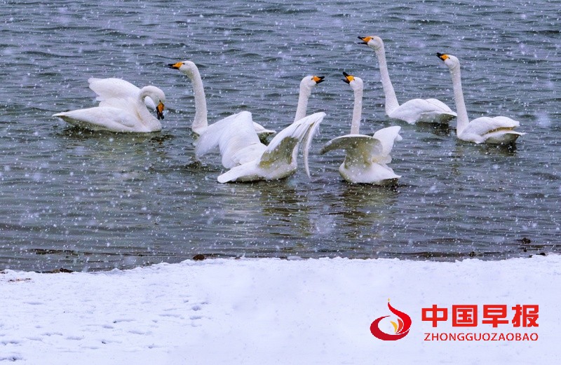 1742030583104293.jpg 微信图片_20250315171019_副本.jpg