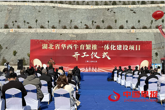 1742434550187533.png 2.png