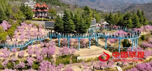 1743049269590788.jpg 微信图片_20250327121910.jpg