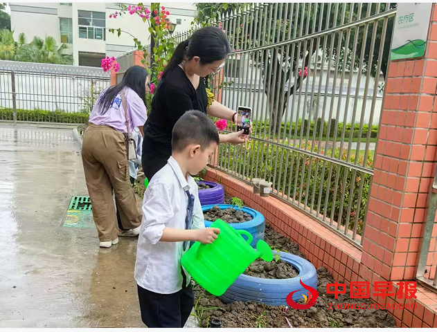 1743224870139709.png 4浇水.png