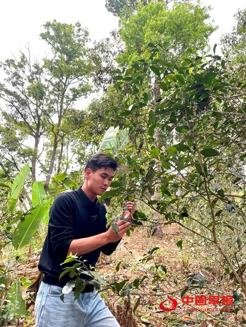 1743585552975557.jpg 微信图片_20250402170737.jpg