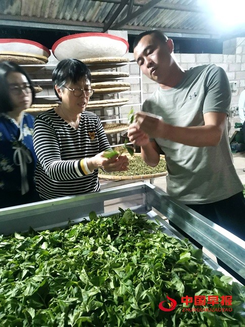 1743585682141077.jpg 1743585682141077.jpg