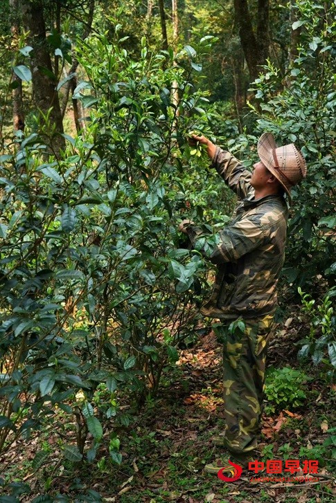 1743585976216507.jpg 1743585976216507.jpg