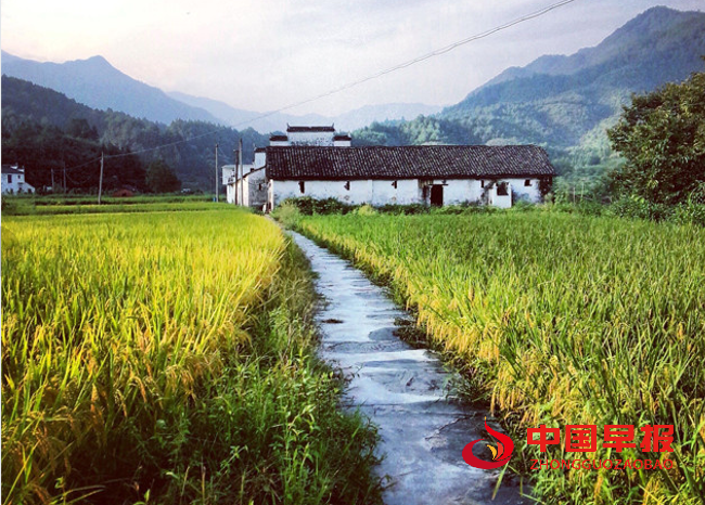 1744097889102138.png 乡间小路1.png