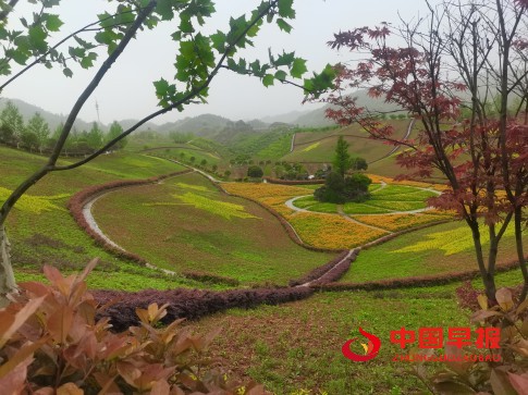 1744461716772190.jpg 1111.jpg