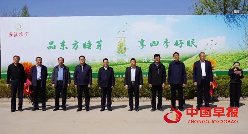 1744770694690238.jpg 640_副本.jpg