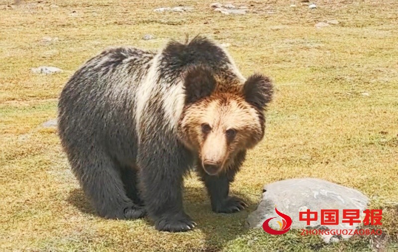 1745144520841199.jpg 微信图片_20250420180849_副本.jpg