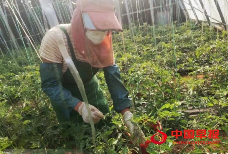 1745425604366054.jpg 640 (2)_副本.jpg