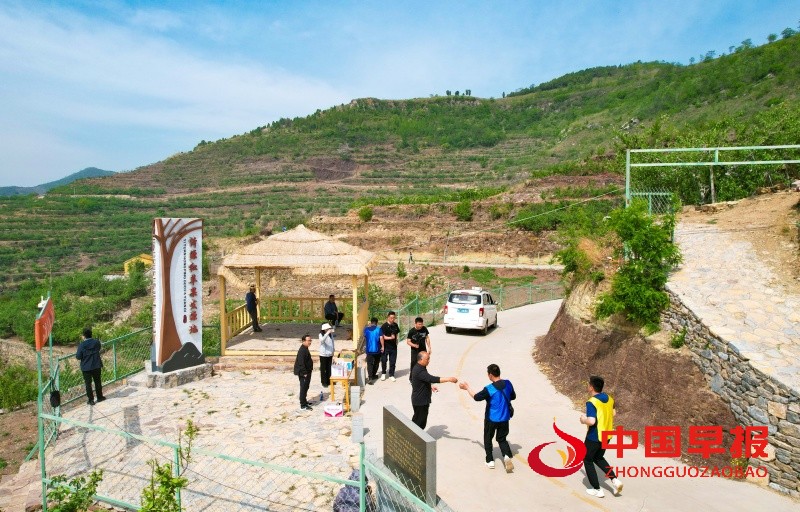 1745846374152838.jpg 3_副本.jpg