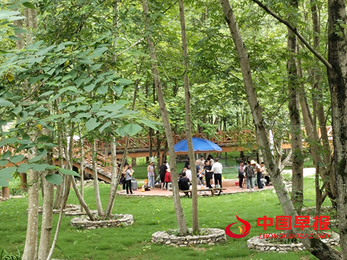 17503141624264933_5.png 17503141624264933_5.png