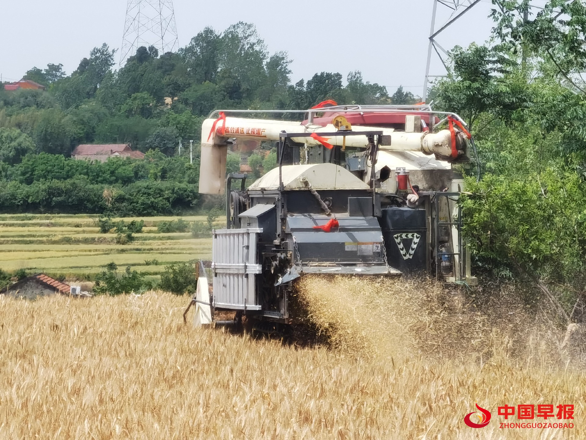 1746570693140425.jpg 1746570693140425.jpg