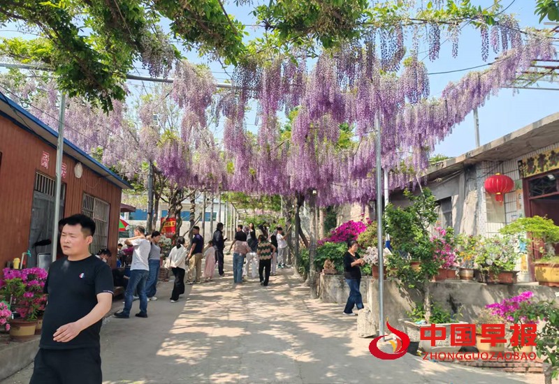 1746686816158207.jpg 微信图片_20250508143815_副本.jpg