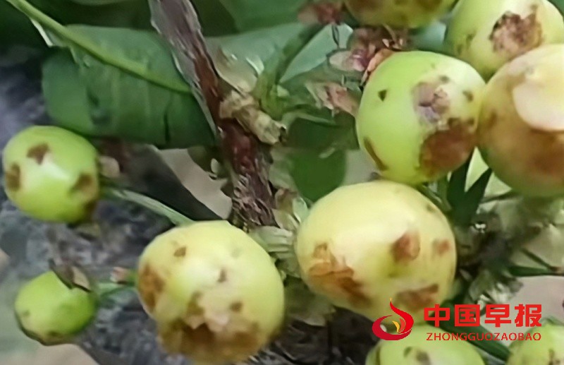 1746852878983542.jpg 微信图片_20250510124703_副本.jpg