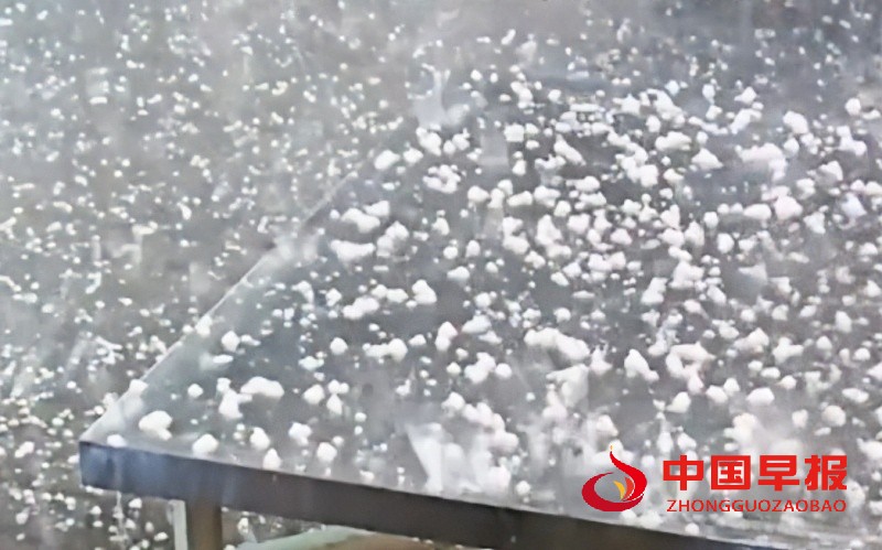 1746853295672263.jpg 微信图片_20250510130042_副本.jpg