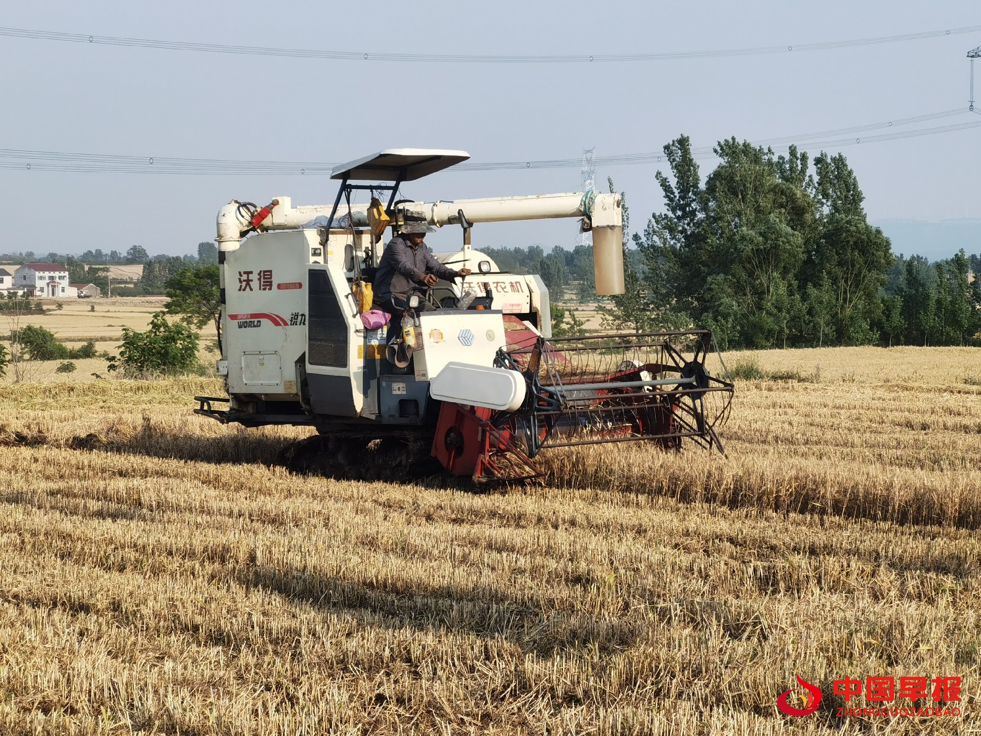 1747363720245939.jpg 1747363720245939.jpg