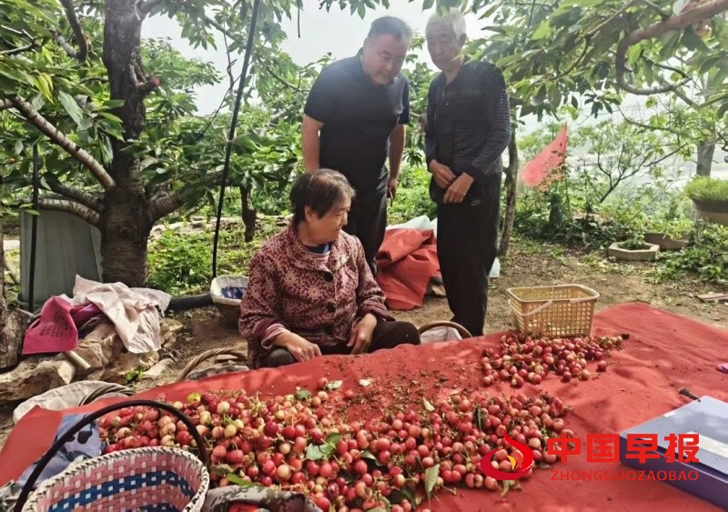 1747411347211393.jpg 640 (1)_副本.jpg