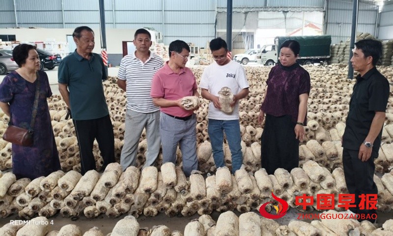 1747630313111710.jpg 微信图片_20250519124854_副本.jpg