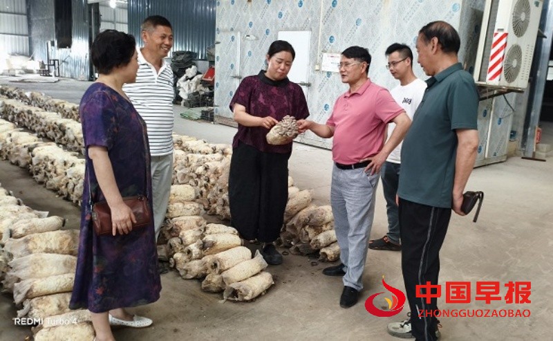 1747630331125599.jpg 微信图片_20250519124900_副本.jpg