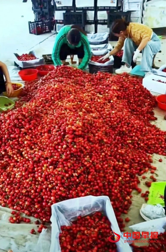 1747711589162362.jpg 640 (1)_副本_副本.jpg