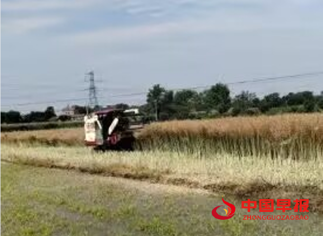 1747887497144103.png 1.png