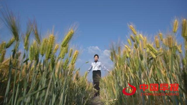 1747958842108035.jpg 微信图片_20250523080144.jpg